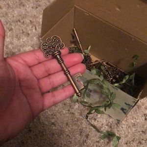 Key snapped bottle opener (34)